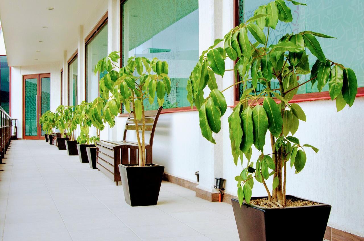 Hotel Boutique Luxury Pachuca Exterior foto